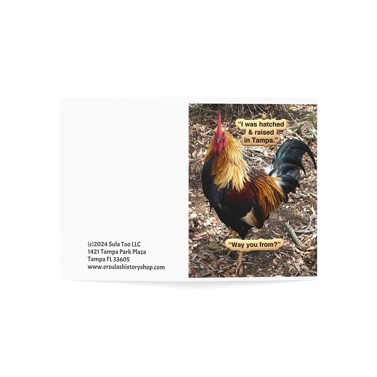 Tampa Native Rooster Greeting Cards