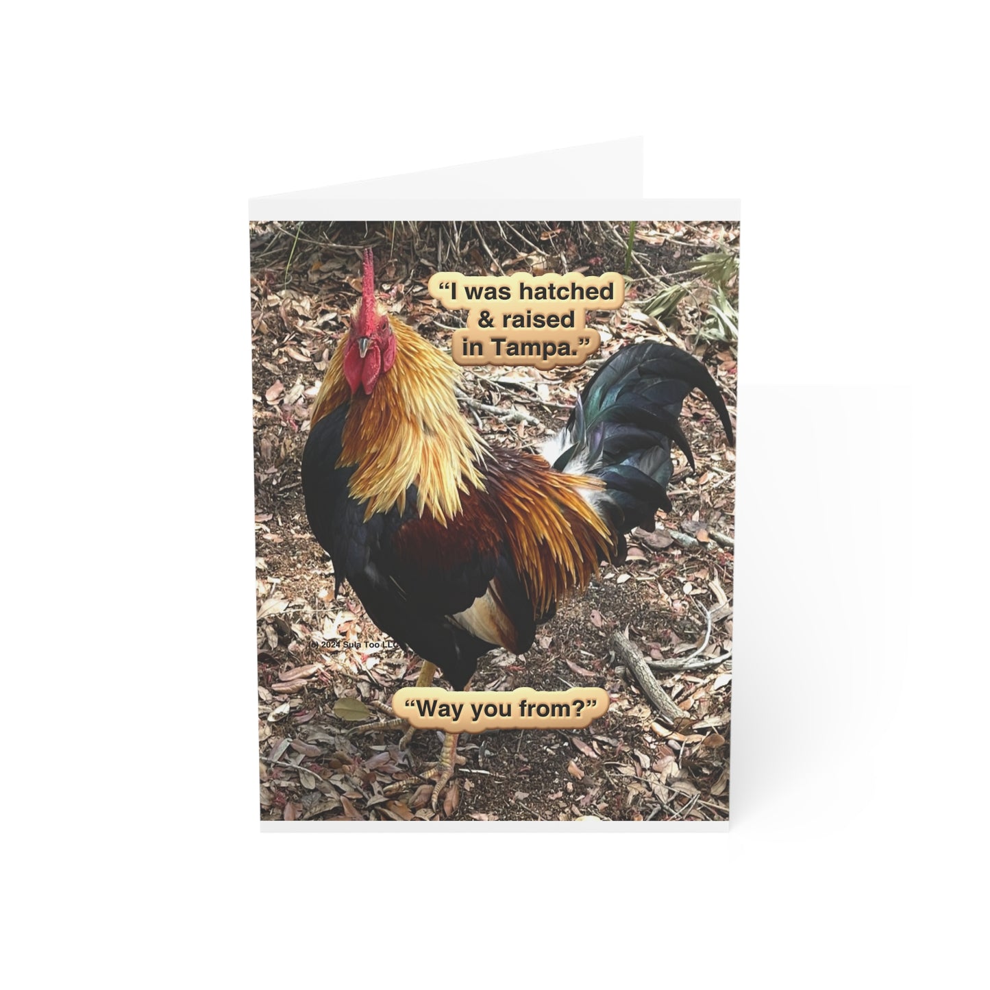 Tampa Native Rooster Greeting Cards