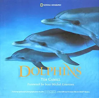 Dolphins cover image