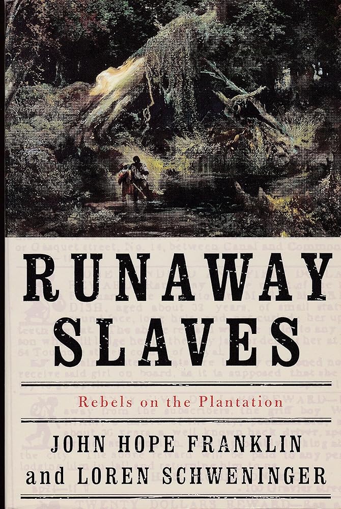 Runaway Slaves Rebels On the Plantation cover image