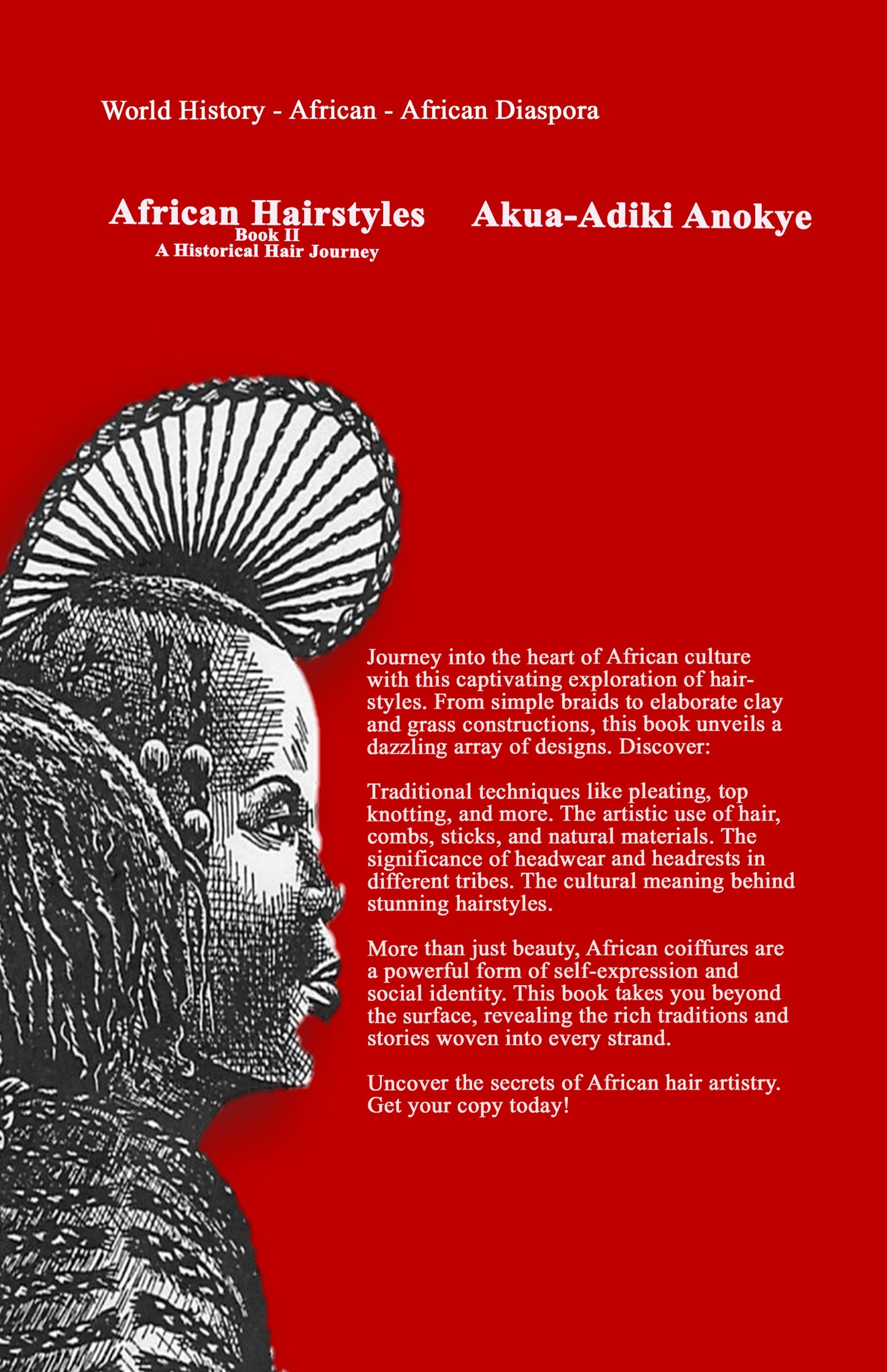 African Hairstyles Book II A Historical Hair Journey by Akua Adiki-Anokye