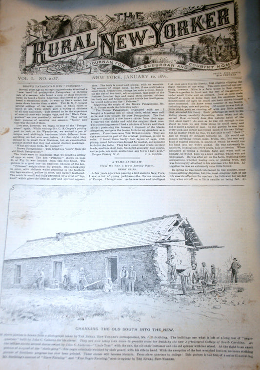 01 10 1891 NEWS Rural New-Yorker