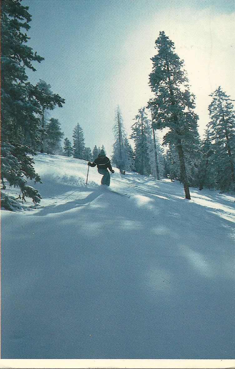 02 25 1985 PC The Rockies
