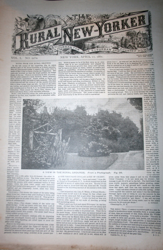 04 11 1891 NEWS Rural - New Yorker