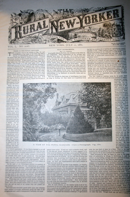 07 11 1891 NEWS Rural New-Yorker