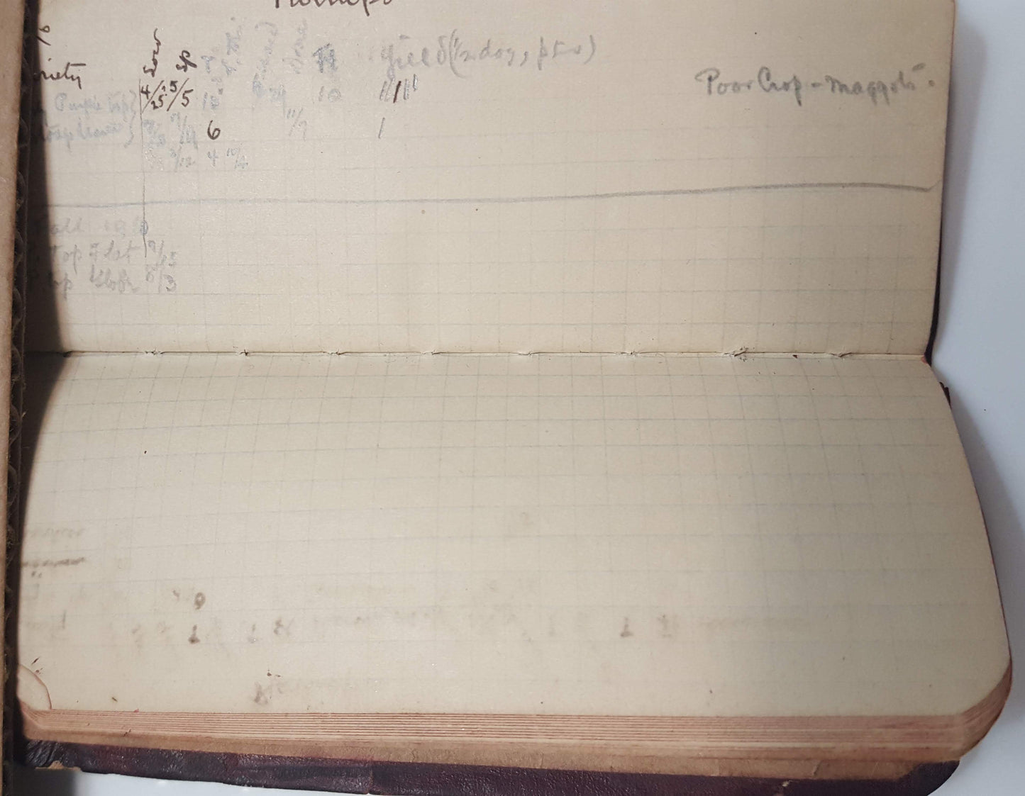 05 14 1907 Produce farm journal Tampa SM001