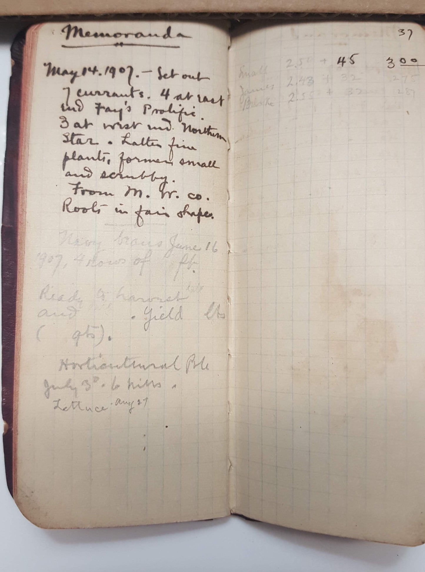 05 14 1907 Produce farm journal Tampa SM001