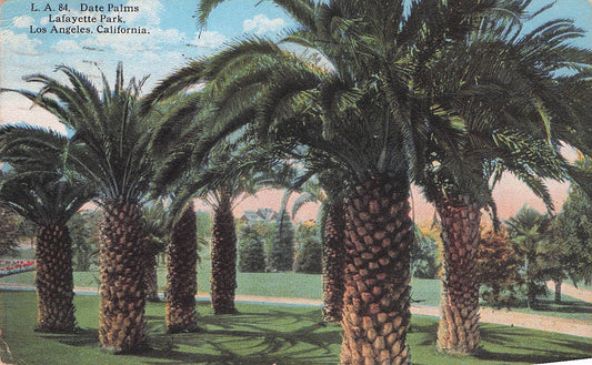 1923 08 09 Date Palms Lafayette Park Los Angeles, California
