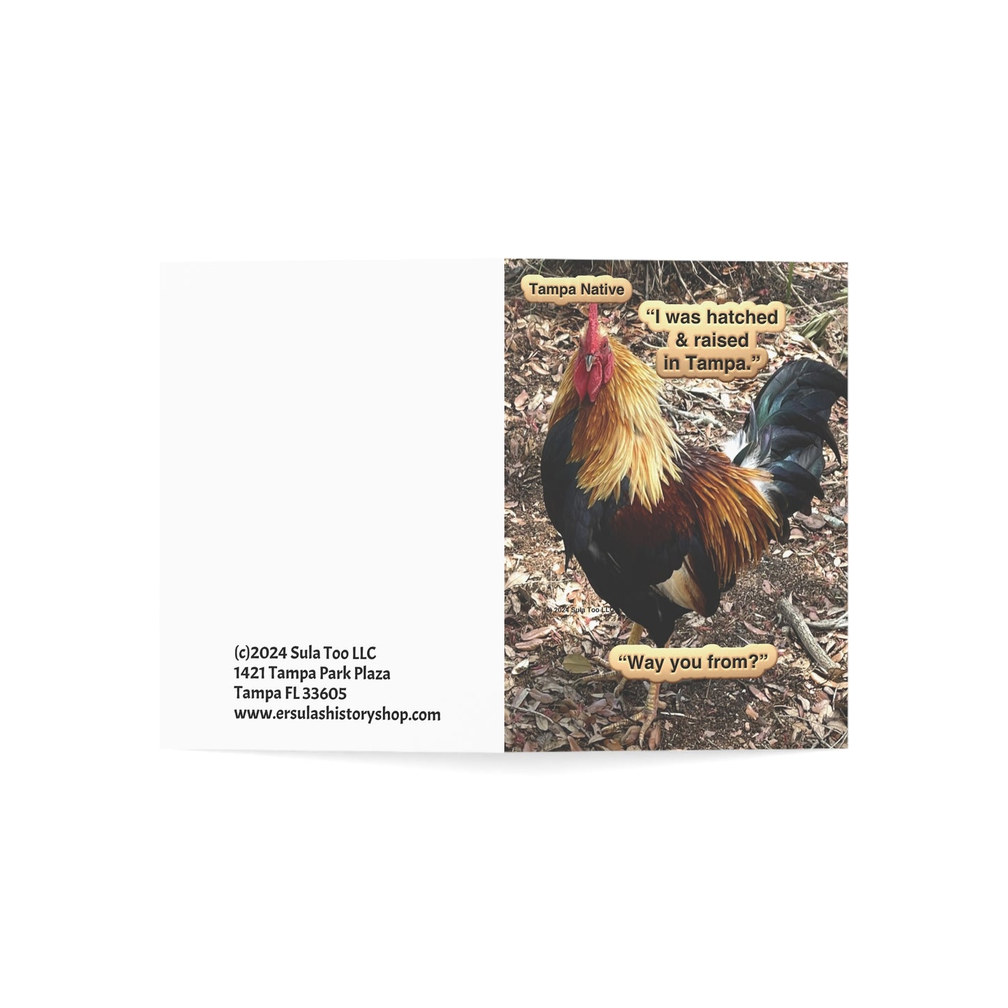 Tampa Native Rooster Greeting Cards