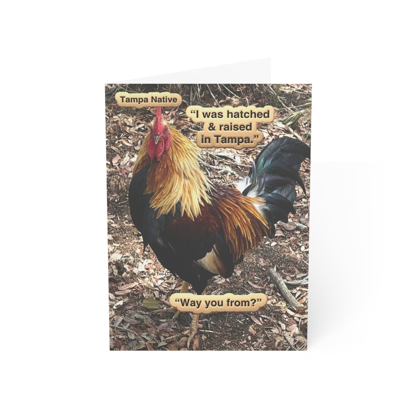 Tampa Native Rooster Greeting Cards