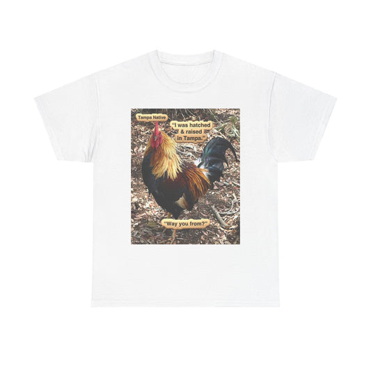 Rooster - Tampa Native