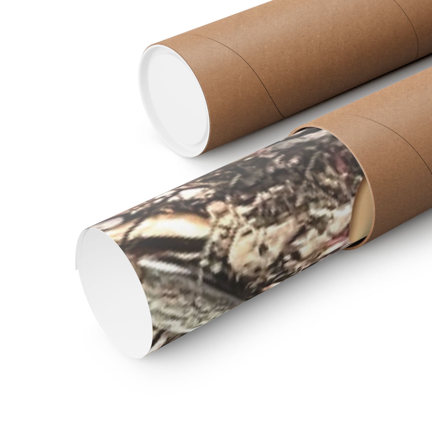 Tampa Native Rooster Poster