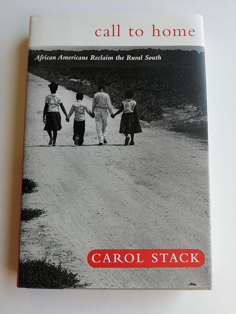 Call To Home: African Americans Reclaim The Rural South cover image