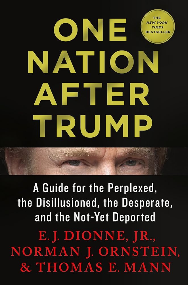 One Nation After Trump: A Guide for the Perplexed, the Disillusioned, the Desperate, and the Not-Yet Deported cover image