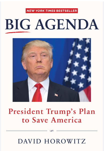 Big Agenda - President Trump's Plan to Save America