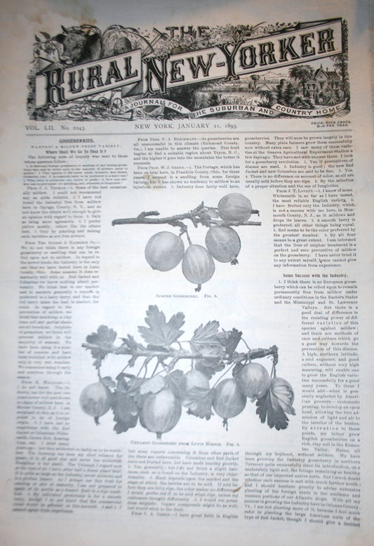 01 21 1893 NEWS Rural New-Yorker
