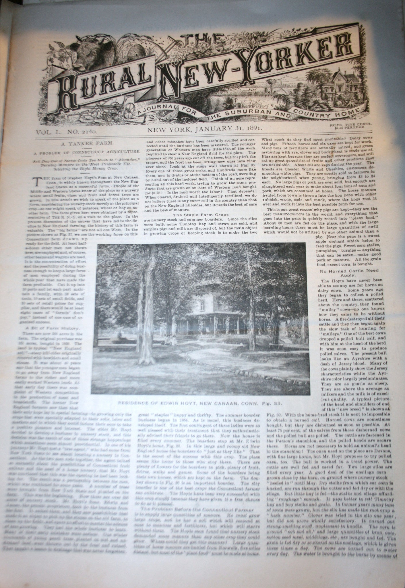 01 31 1891 NEWS Rural New-Yorker