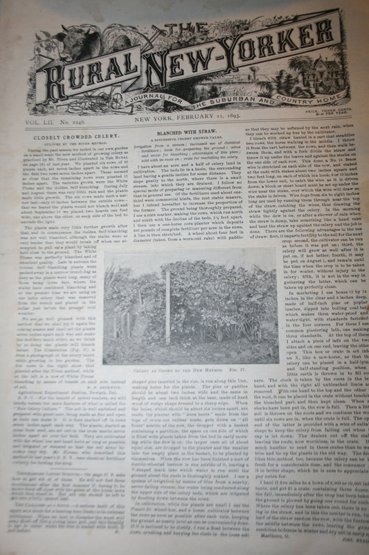 02 11 1893 NEWS Rural New-Yorker