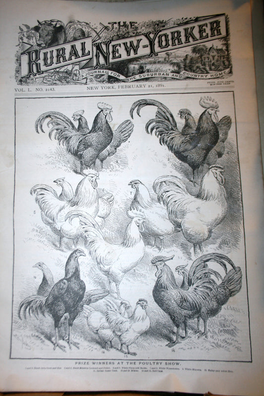 02 21 1891 NEWS Rural-New Yorker