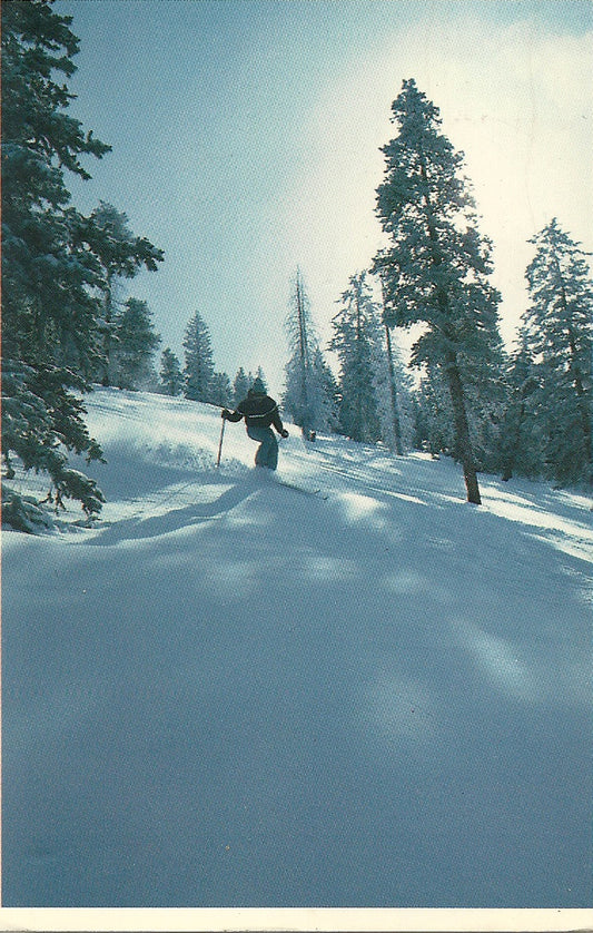 02 25 1985 PC The Rockies