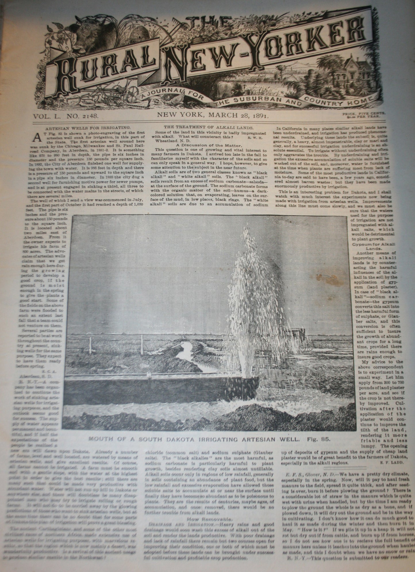 03 28 1891 NEWS Rural - New Yorker