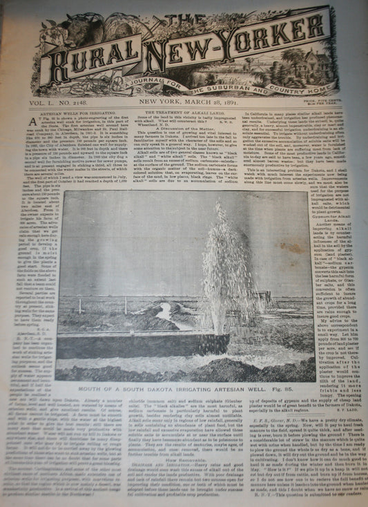 03 28 1891 NEWS Rural - New Yorker