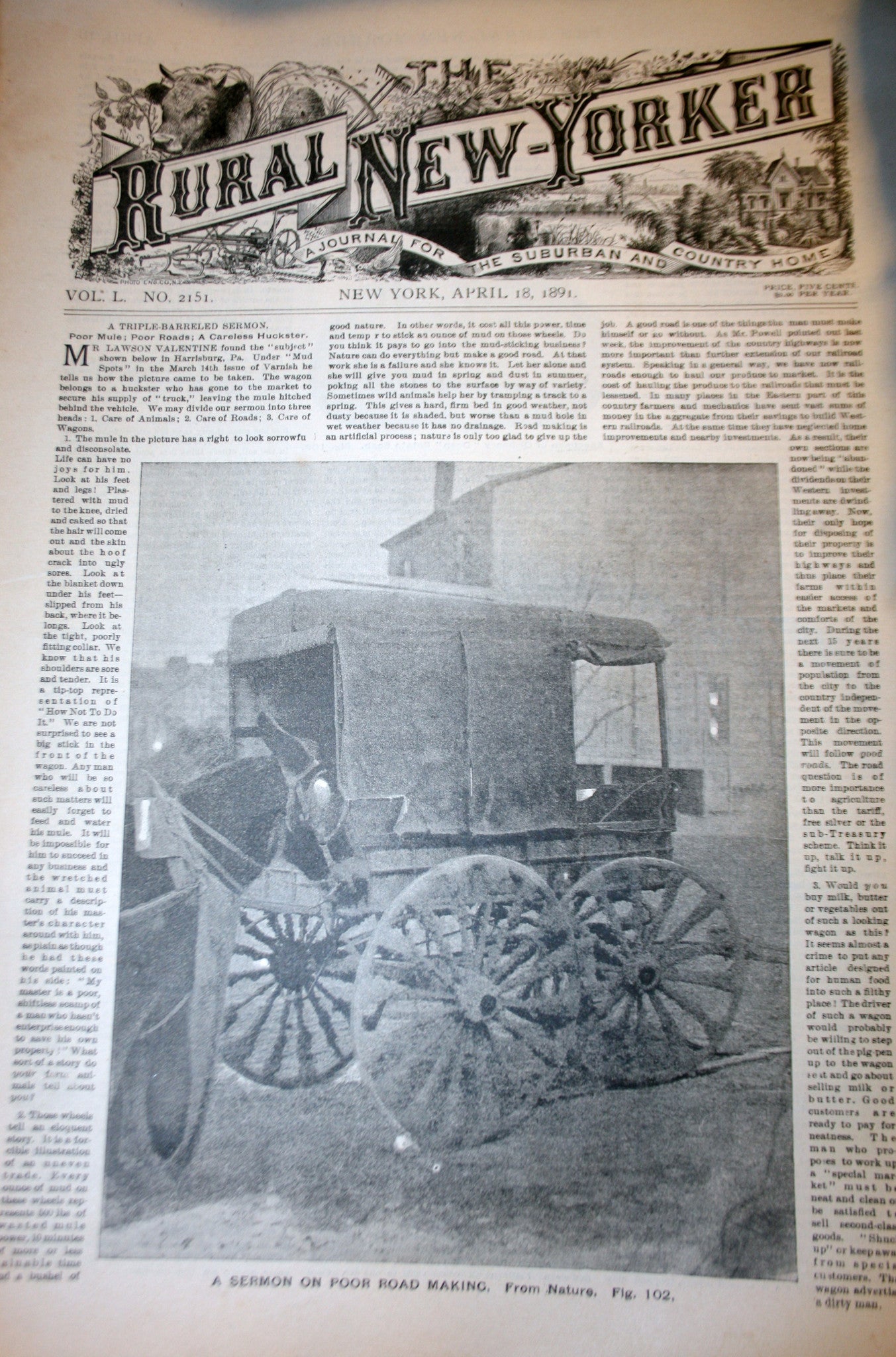 04 18 1891 NEWS Rural - New Yorker