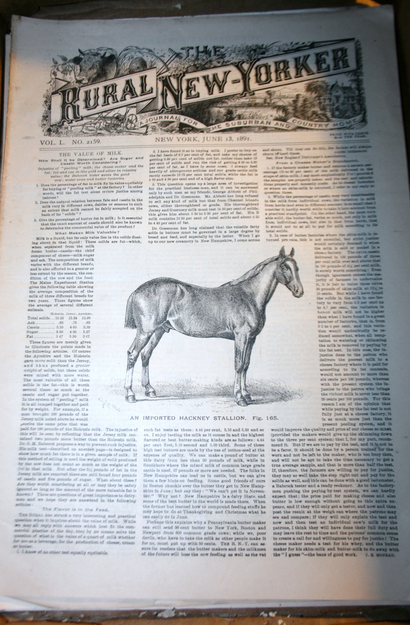 1891.06.13 NEWS Rural - New Yorker
