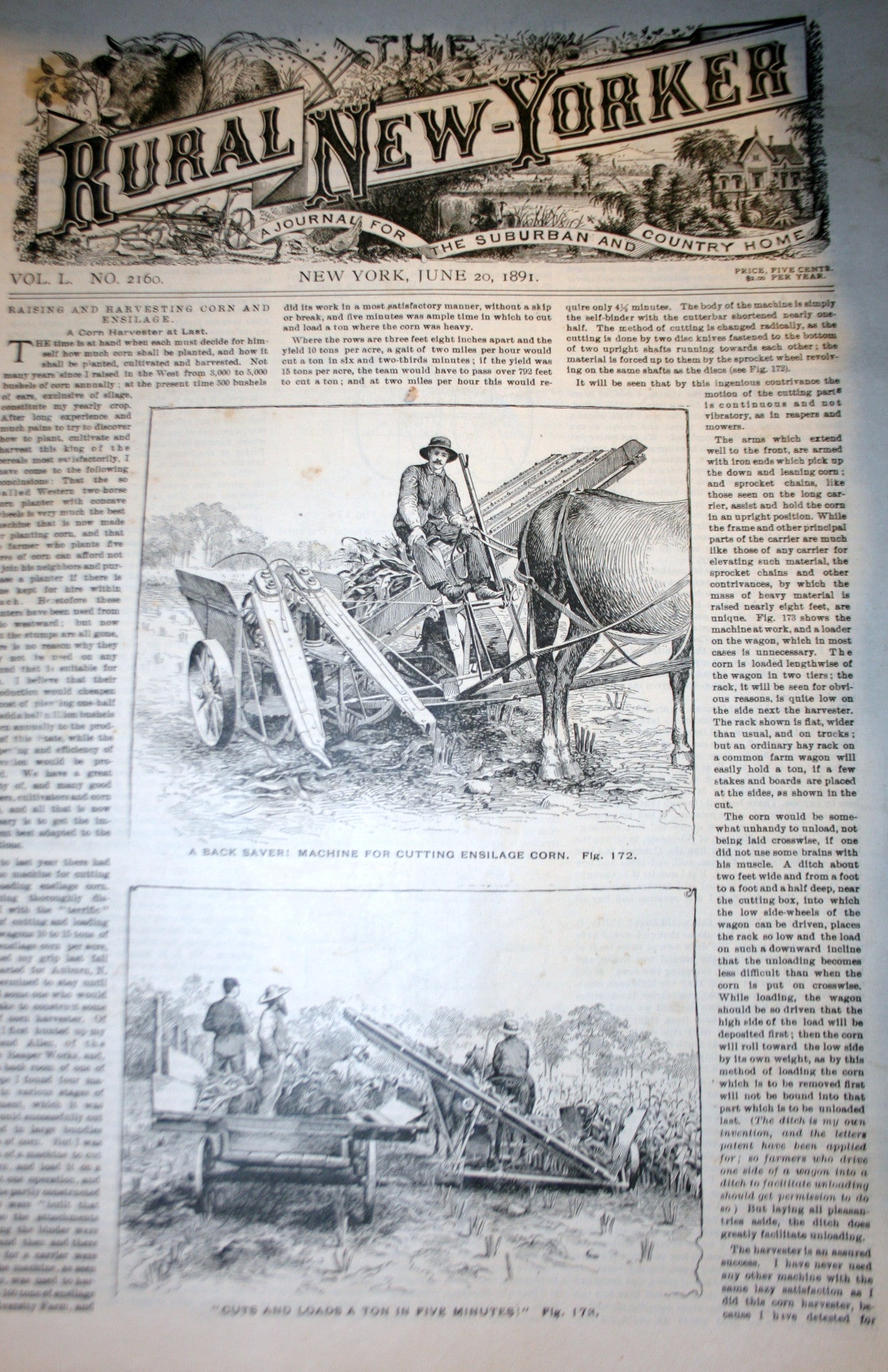 1891.06.20  NEWS Rural - New Yorker