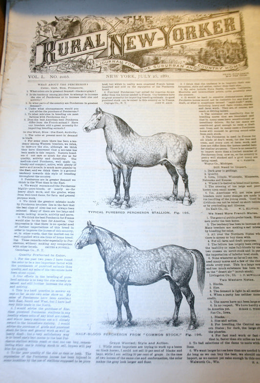 07 25 1891 NEWS Rural New-Yorker