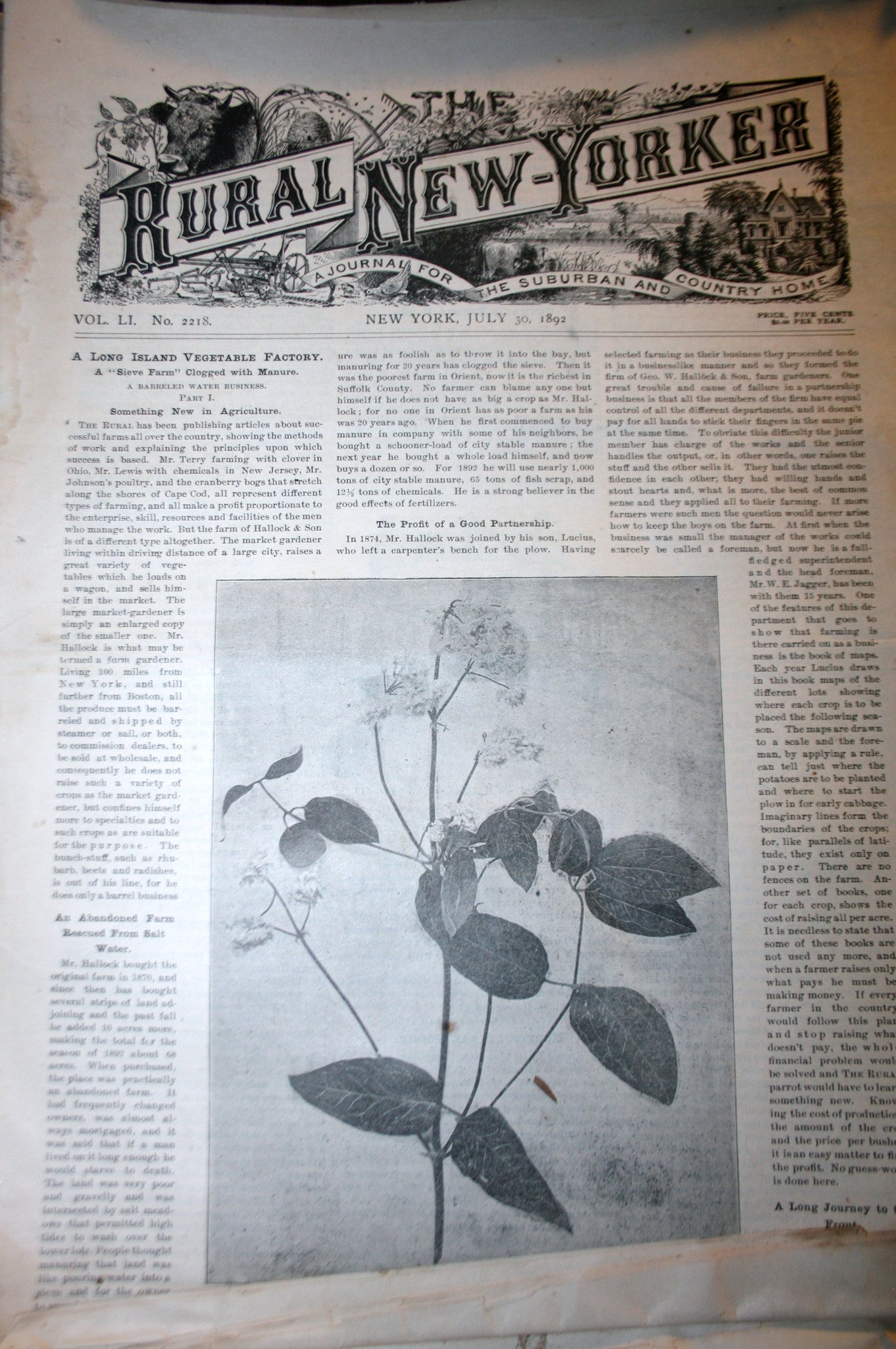 07 31 1893 NEWS Rural New-Yorker