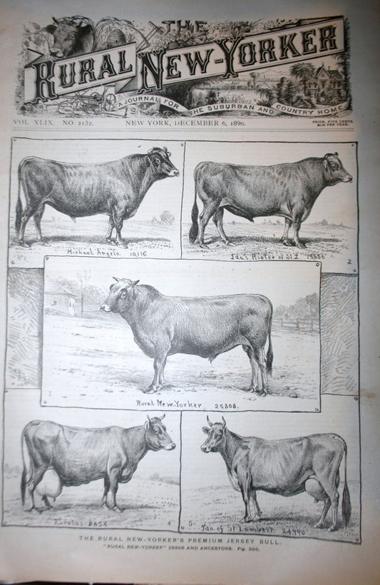 12 06 1890 NEWS Rural New-Yorker