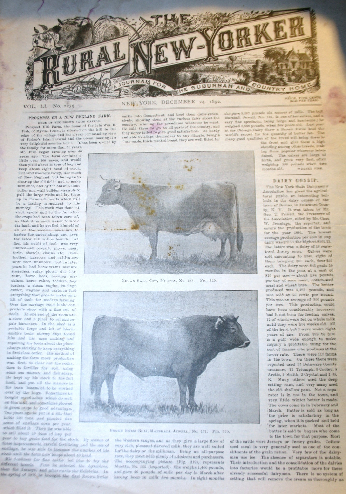 12 24 1892 NEWS Rural New-Yorker