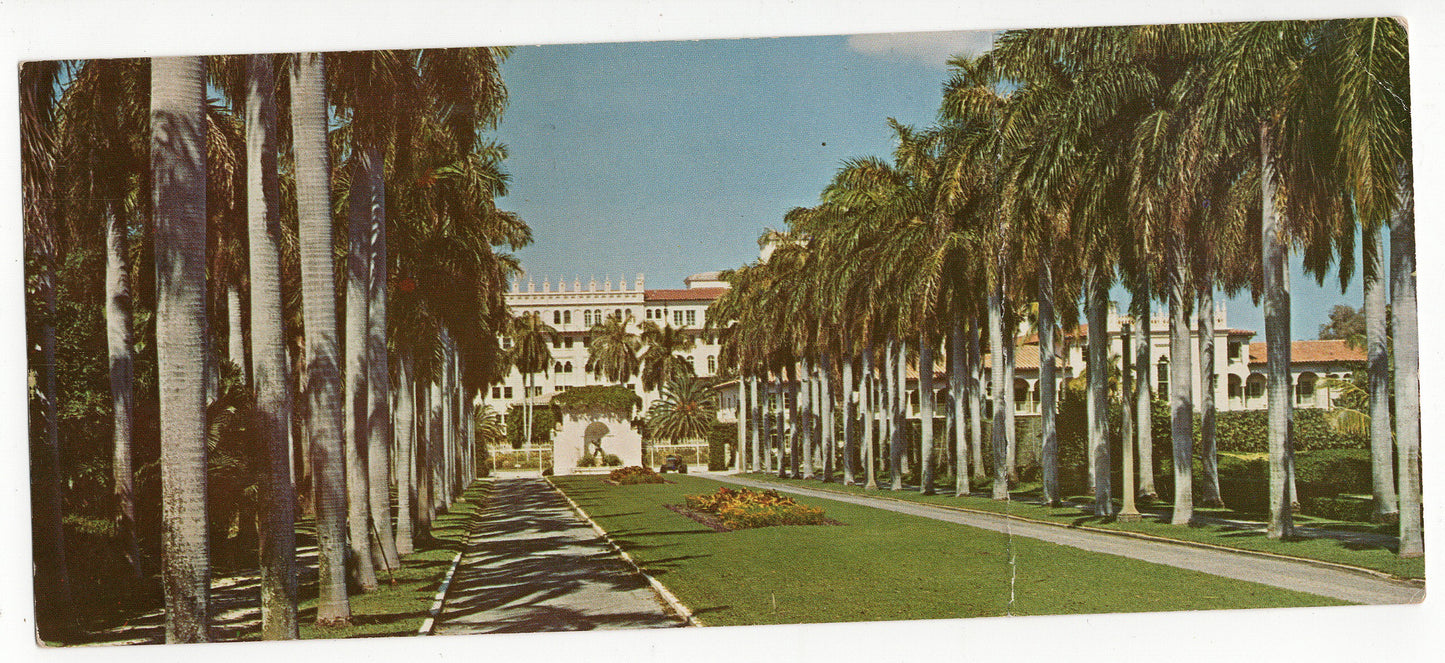 04 02 1959 Royal Palm Trees