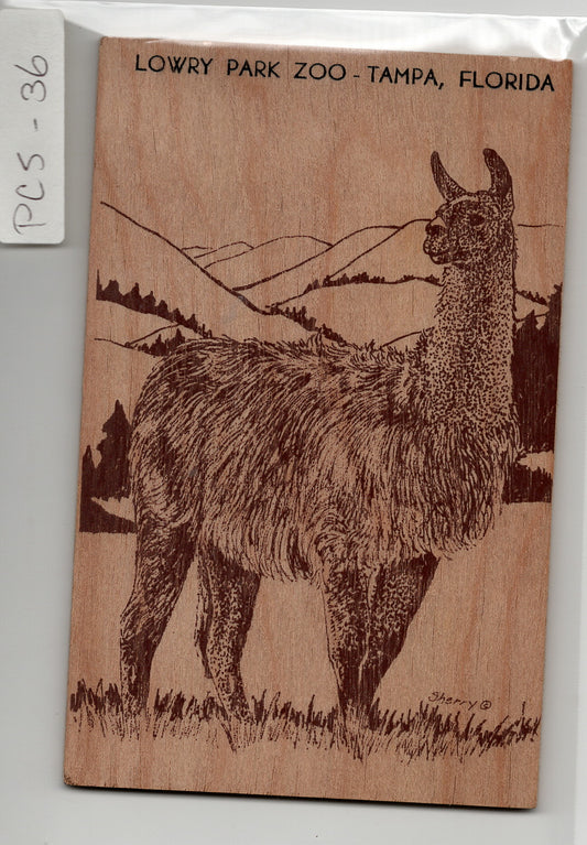 02 28 1992 Lowry Park Zoo Tampa FL Wood Postcard PC5 36